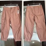 Anthropologie NWT  Pilcro Low Rise Cargo Chinos Photo 2
