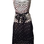 Sheer Black Polka Dot Maxi Skirt XS XC Photo 1
