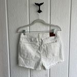 Roxy Denim Shorts Photo 1