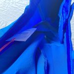 NEW Pinko Up junior ladies XXL side stripe satin pleated walking shorts NWD 29" Blue Size undefined Photo 7