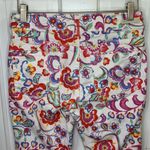 Anthropologie Floral Cottagecore Garden Pilcro Mid-Rise Skinny Jeans W-210 Sz 27 Photo 9