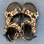 All Black Cheetah Sandals Size 6 Photo 0