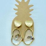 Clear Drop Earrings Photo 0