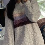 Lizard Thicket Sweater Photo 0