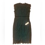 Bardot Lace Panel Dress Photo 2