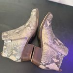 Lucky Brand Basel Booties Snakeskin Print Ankle Boots Zip Up Womens 9.5 Leather Photo 11