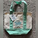 Trader Joe’s Mini Canvas Tote / Teal Pastel / Spring 2025 /LIMITED EDITION Photo 1