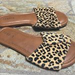Torrid leopard print calf hair slide sandals 8 tan black Photo 0