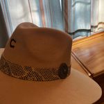 Charlie 1 Horse Charlie Horse Hat 1 Felt Photo 0