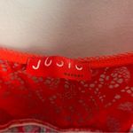 Natori Josie  Women's Slip medium  Babydoll Lingerie Red Lace Sleepwear Photo 1