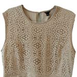 Ann Taylor  Lace Sleeveless Top in Beige Photo 6