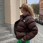 NorthFace 700 Brown Puffer Size M Photo 4