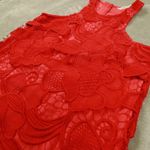 Lovers + Friends Sleeveless Red Lace Caspian Mini Dress REVOLVE size Small Photo 2