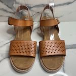 Bobs Skechers NWOB Women's Neutral Strappy Comfort Sunny Flair Sandals Sz 9 Brown Photo 1