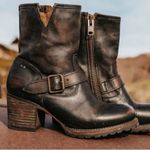 FREEBIRD BY STEVEN WOMENS CARLITO ANKLE BOOT LEATHER 8 BROWN Photo 0