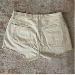 AGOLDE Parker Shorts Photo 1