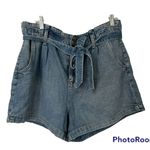 American Eagle  Mom Short size 16 Photo 0