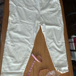 Universal Standard  NWT Seine cropped skinny stretch pants sz 36 Photo 0