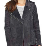 BLANK NYC  grey genuine suede moto jacket size M Photo 0