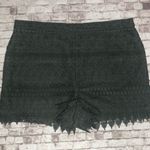 BCBGMAXAZRIA NWT Sage Green Lace Shorts Photo 3