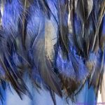 Ashley Stewart NEW Sexy Flirty navy blue feather front short sleeve night gown lingerie lounge Photo 15