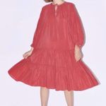 ZARA Plumetti Textured Dot Midi Swing Dress Medium Photo 1