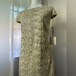 Calvin Klein NWT  Beige Metallic Mesh Cap Sleeve Stretchy Floor Length Gown Photo 2