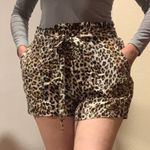 Sans Souci Leopard print Shorts Size L Photo 1