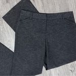 A Byer A. Byer Bootcut Dress Pants Photo 1