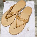 NEW Ancient Greek Sandals 42 Hydor Leather Flip Flops Thong Slides Dustbag 12 Size undefined Photo 1