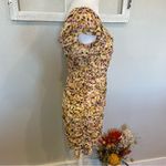 ASTR  The Label Shirred Flutter Mini Dress Photo 3