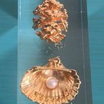 Set of Best of Both Worlds Sea Shell and Forest Pinecone Gold Electroplate Charm Photo 0