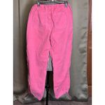 American Eagle  Women's Large Pink Pants Grunge skater Gorpcore Baggy Photo 1