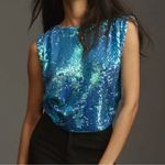 Anthropologie NEW Pilcro Sequin Muscle Cashmere Sweater Vest (Large) Photo 0