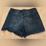 Lane Bryant  girlfriend short in size 20 Photo 4