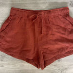 Young Fabulous and Broke  Drawstring Clay Linen Shorts Photo 0