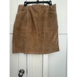 Eddie Bauer  CORDEROY PENCIL SKIRT COTTON SPANDEX BLEND WOMENS PLUS SIZE 16 Photo 1