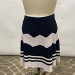 Premise Chevron Skirt Photo 2