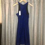 Townsen NWT  Blue Lace Mini Dress Photo 5