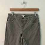 Garnet Hill  Gray Essential Slim Five-Pocket Cords Corduroy Pants Photo 44