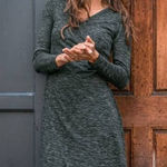 Prada Prana Nadia Dress in Deep Balsam NWT Sz. S Photo 0