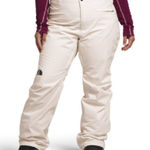 The North Face  Freedom Stretch Plus Size‎ Women's PantsSize 3X Photo 0