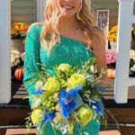 Ashley Lauren Homecoming Dress Photo 4