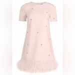 Likely NWT Jeweled Marullo Dress Rose Shadow Pink Feather Hem Size 10 Photo 7