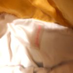 Free People The Way Home  Shorts Photo 1