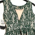 ZARA NWT  Green Lace Fit Flare Tulip Party Dress Small Photo 4