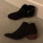 Circus by Sam Edelman  Black Suede Ankle Booties Photo 5