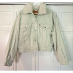 Levi's Levi’s mint corduroy Sherpa bomber jacket smwll Photo 3