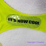 New! Set! It's Now Cool x Free People the frill tri eco neon lime rib bikini, S Green Photo 15