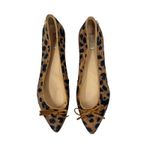 Schutz  Leopard Print Pointed Toe Ballet Flats Size 37 US‎ 7 Photo 1